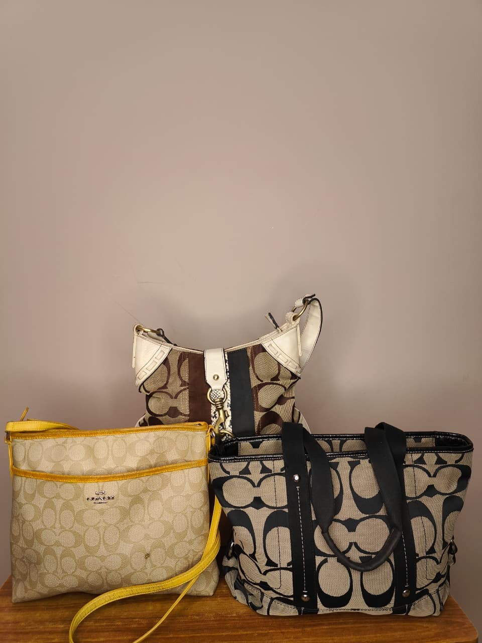 coach handbags (rr-005)