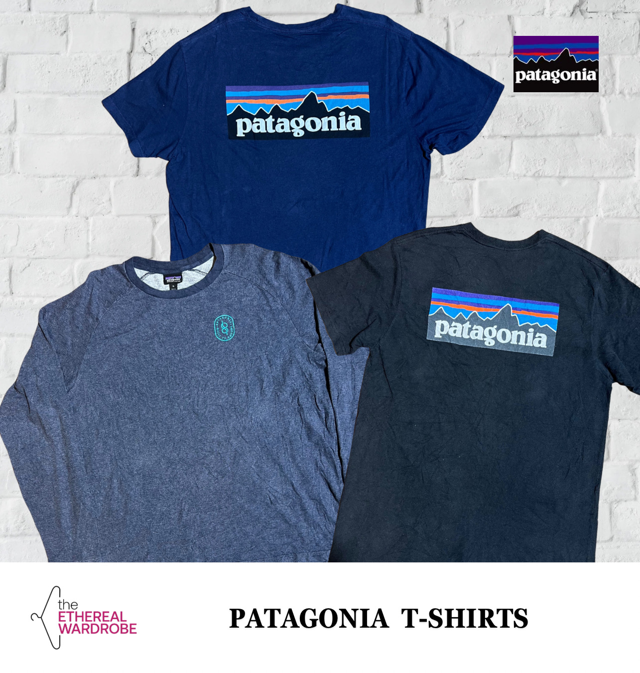 Patagonia Tee Pack