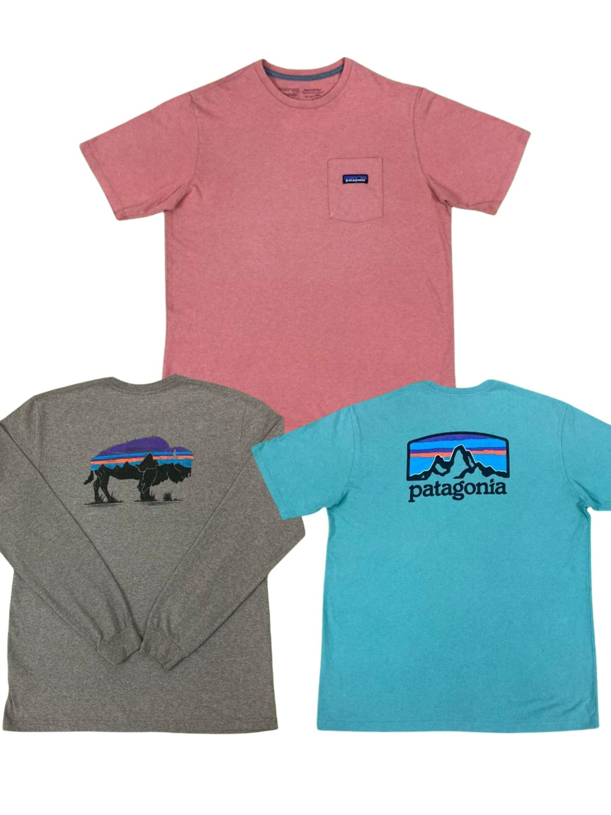 Patagonia Graphic Tee Pack