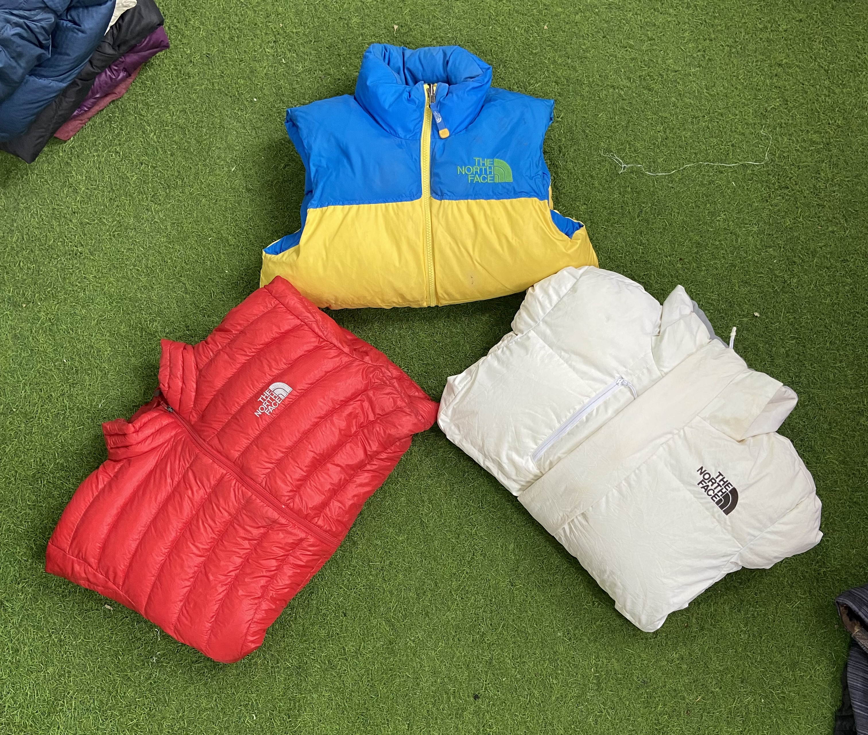 The North Face Down Puffer Jackets