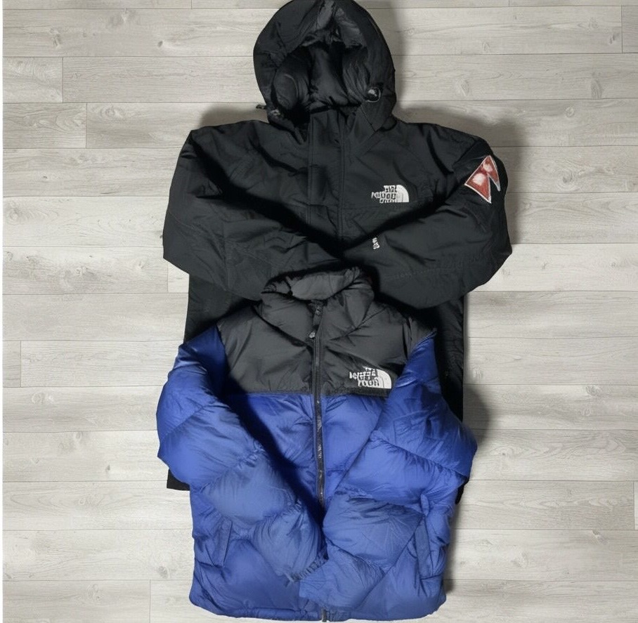 Giacca Puffer Premium The North Face (FF 1097)