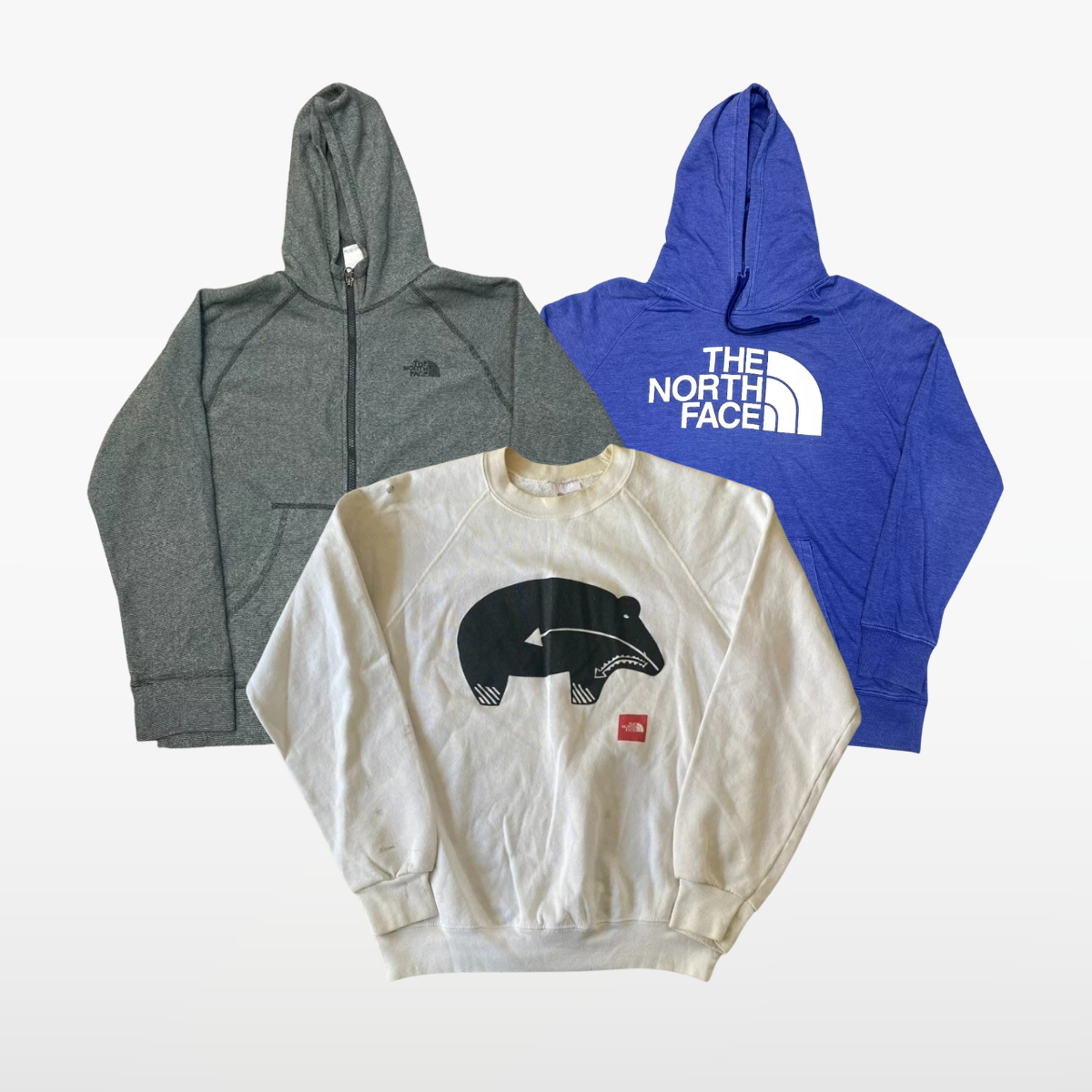 The North Face Sweatshirts & Hoodies