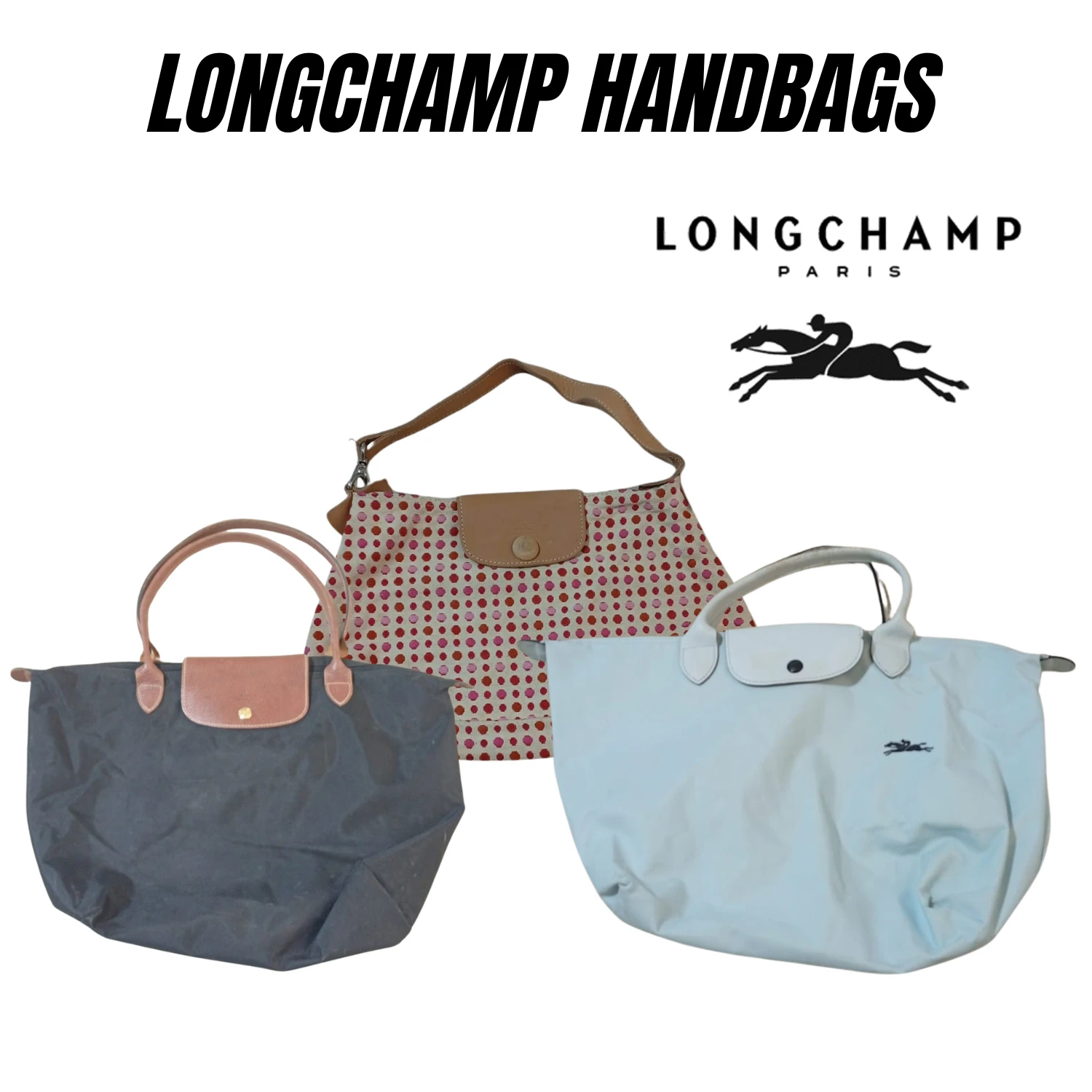 longchamp bags (rr-67)