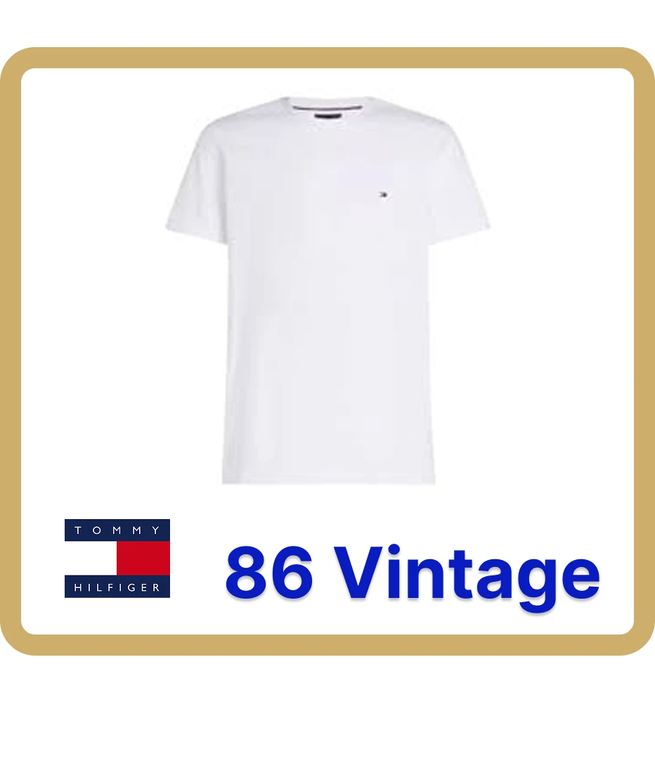 tommy hilfiger t-shirts 10 pc (222)