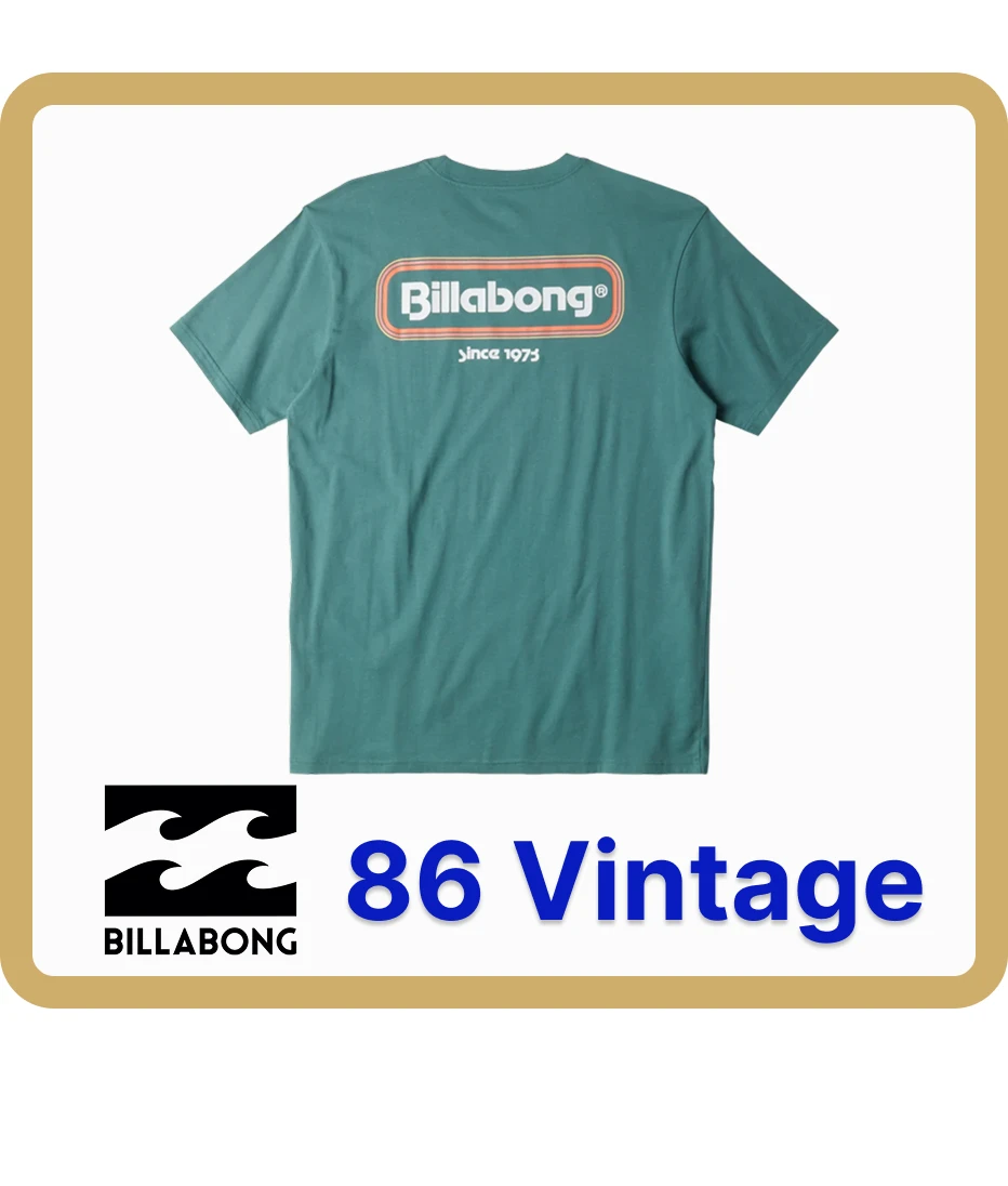 billabong & quiksilver t-shirts 10 pc (228)