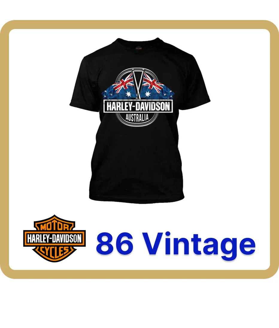 harley davidson t-shirts mix 19 pc (233)