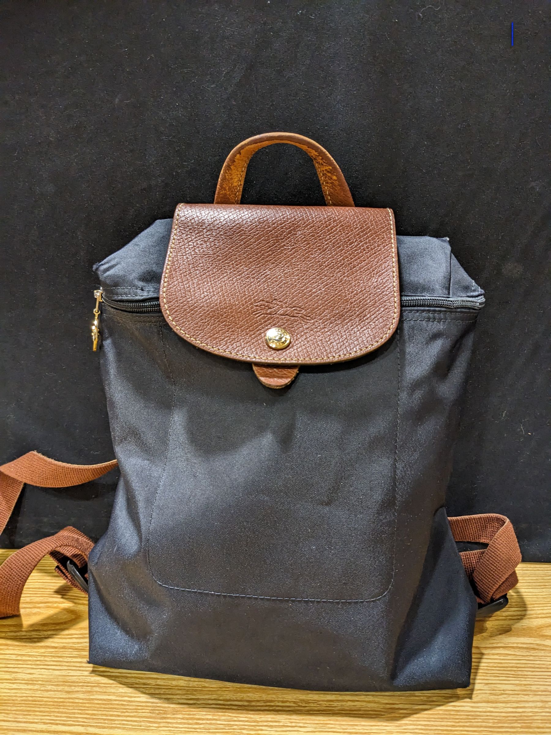longchamp backpack