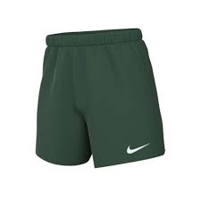 Nike Sports Shorts - 002