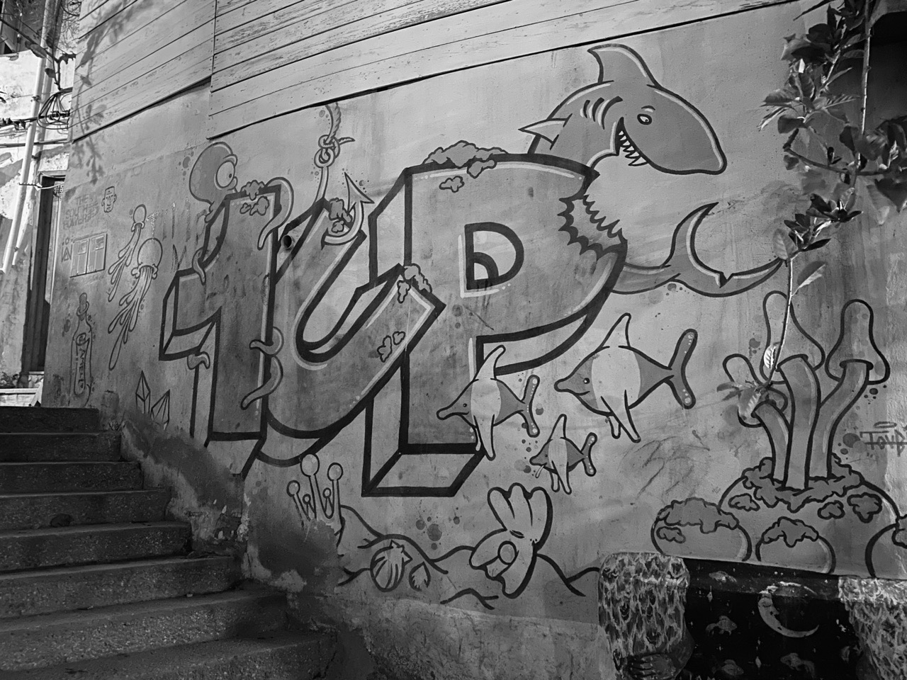 More Steez